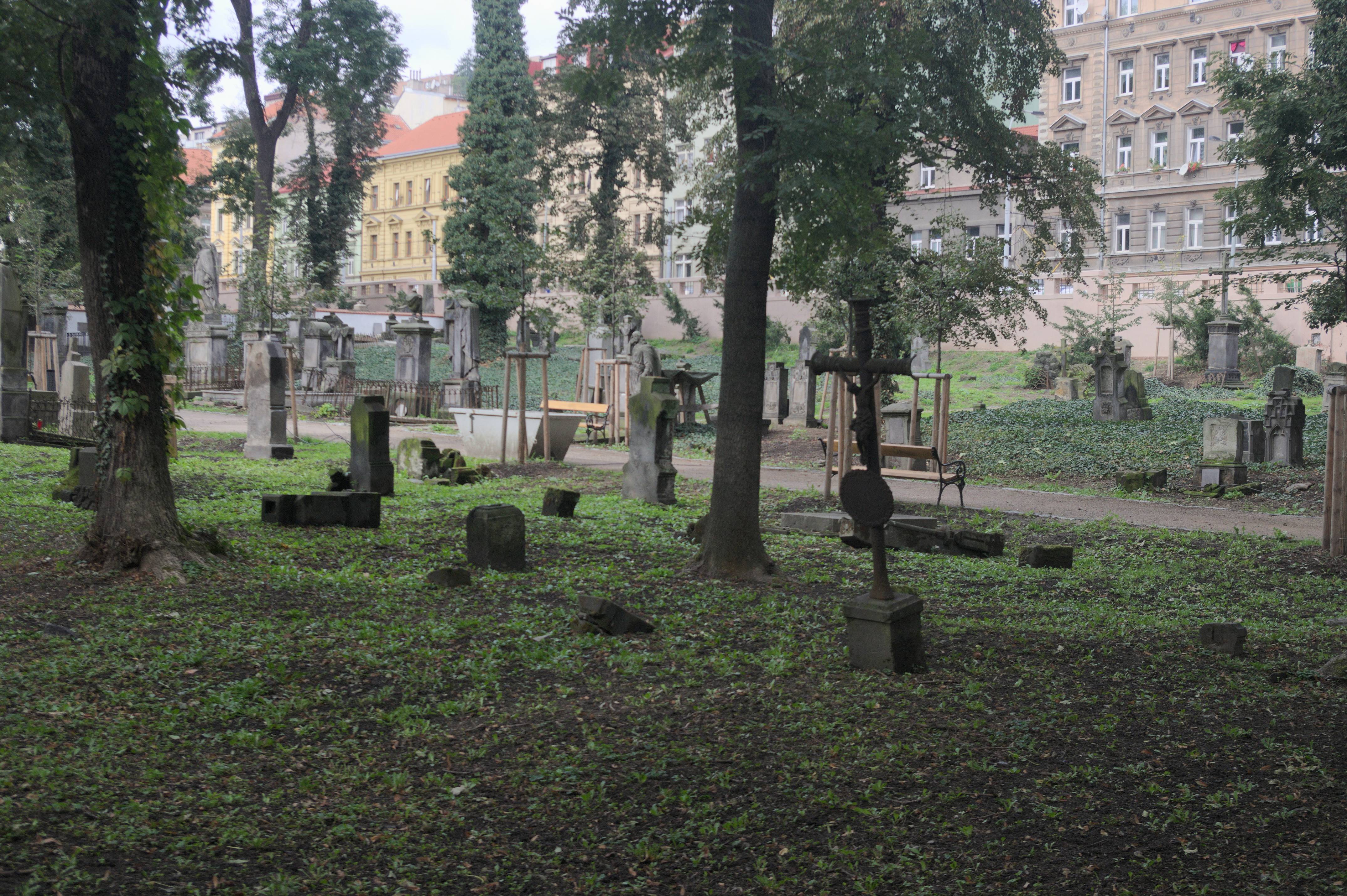 Stary cmentarz w centrum
